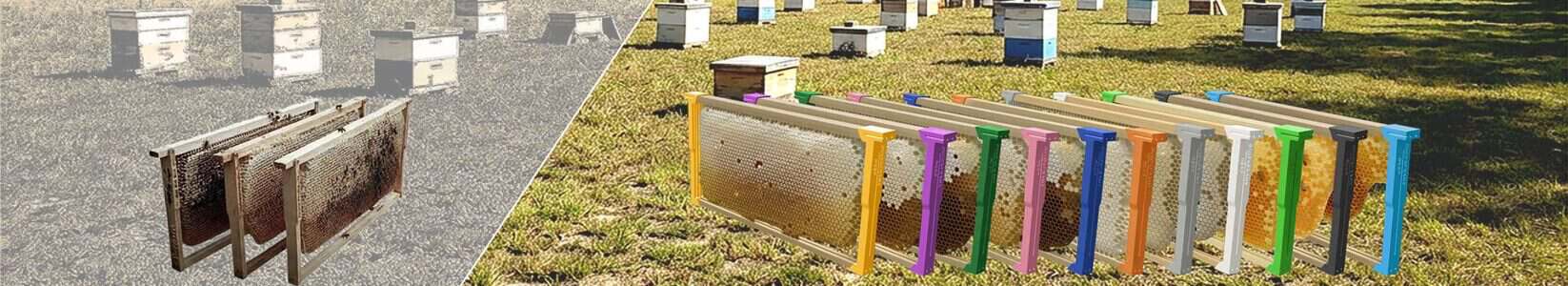 QuickFrame frames in multiple colors displayed in an apiary